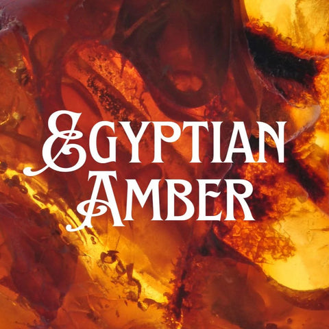 Egyptian Amber Candle/Soap Making Fragrance Oil