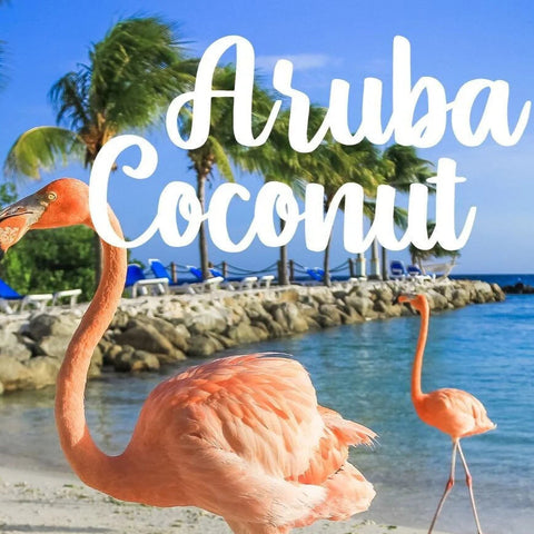 Aruba Coconut (Type) Candle/Soap Making Fragrance Oil