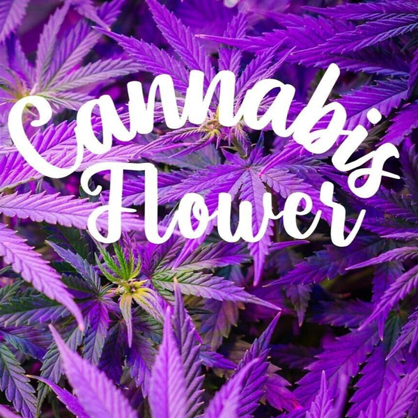 Cannabis Flower Candle/Soap Making Fragrance Oil