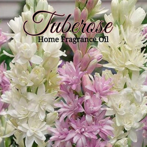 Tuberose Home Fragrance Diffuser Warmer Aromatherapy Burning Oil