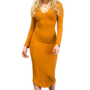 Capella Basic Bodycon Casual V-neck Long Sleeve Dress