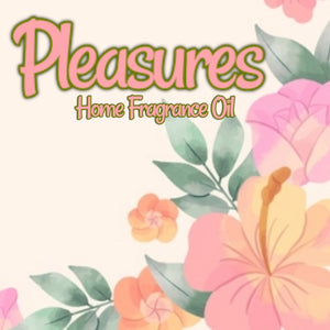 Pleasures Home Fragrance Diffuser Warmer Aromatherapy Burning Oil