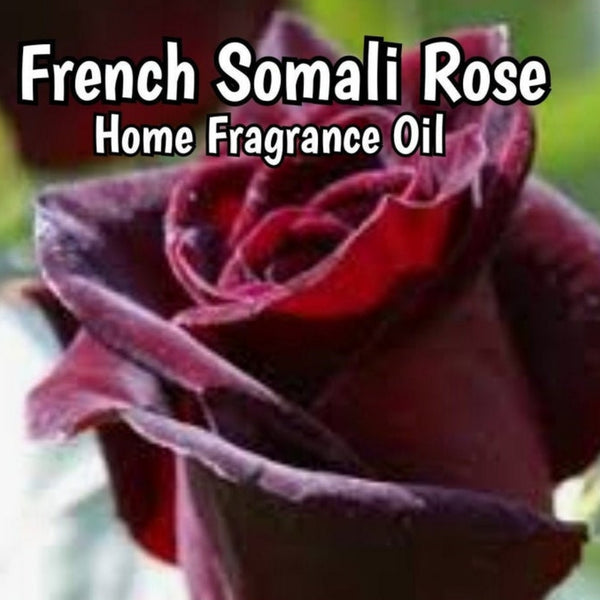 French Somali Rose Home Fragrance Diffuser Warmer Aromatherapy Burning Oil